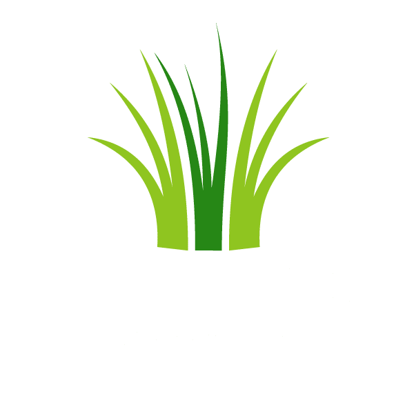 Auckland Artificial Grass Pros